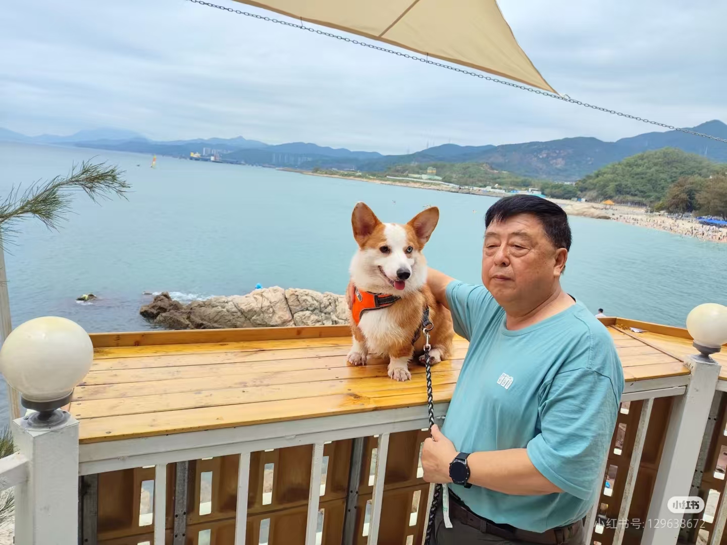 沙鱼涌